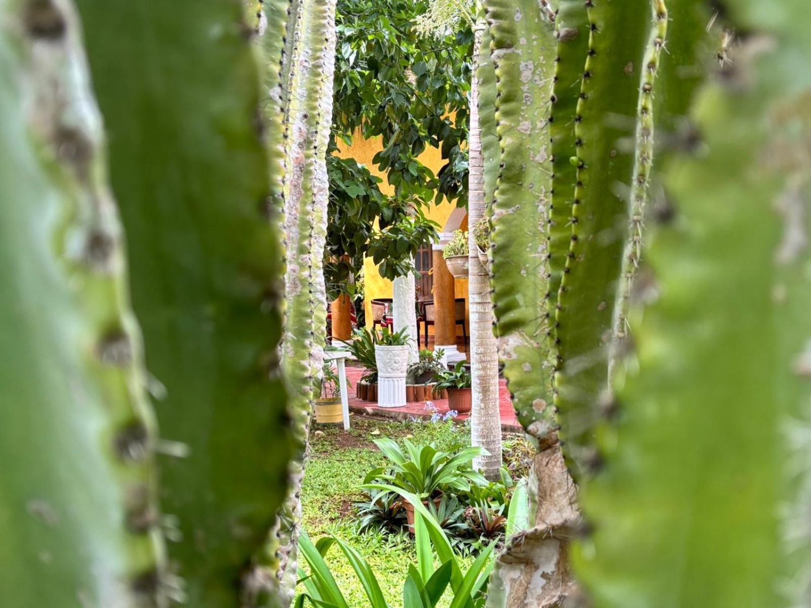 Отель Casa Palagui Colonial Вальядолид Экстерьер фото